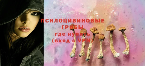 бошки Вязьма